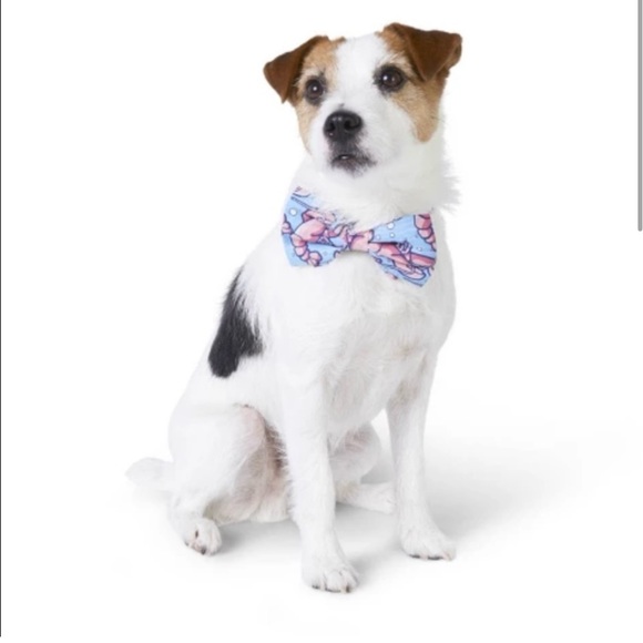 NWT Vineyard Vines for Target Lobster Pet Accessories